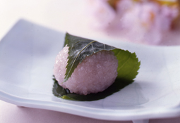 季節のおすすめ商品